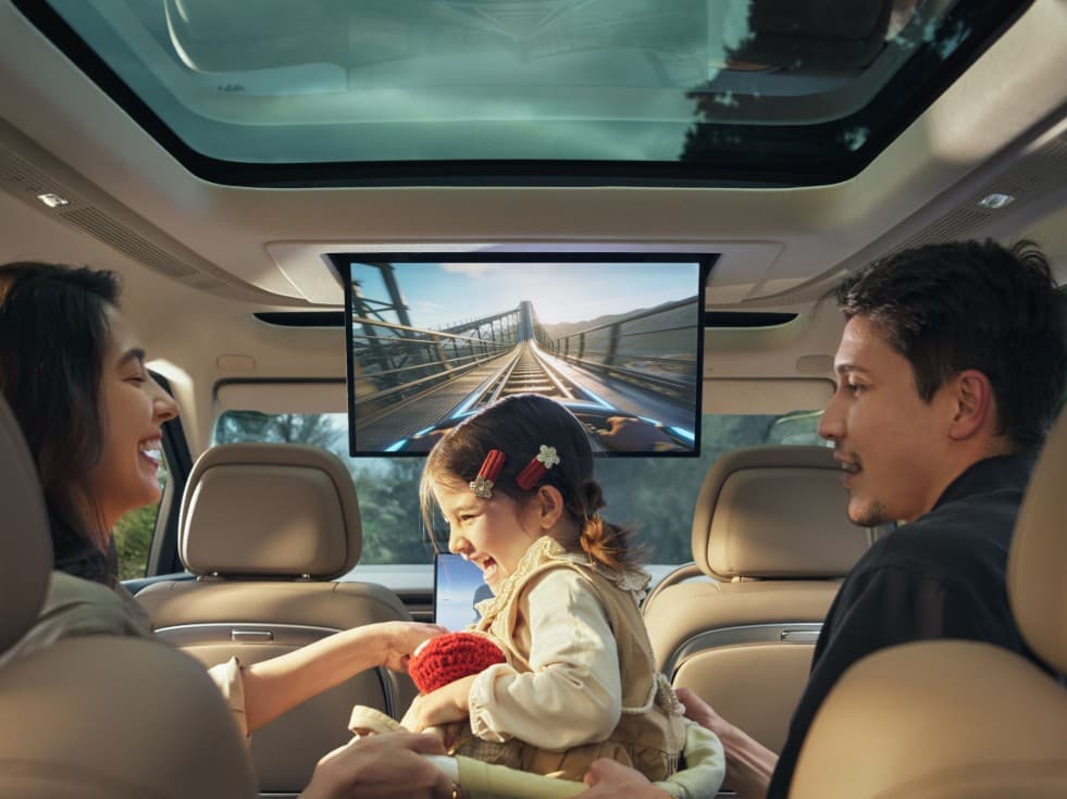 21.4" Rear Entertainment